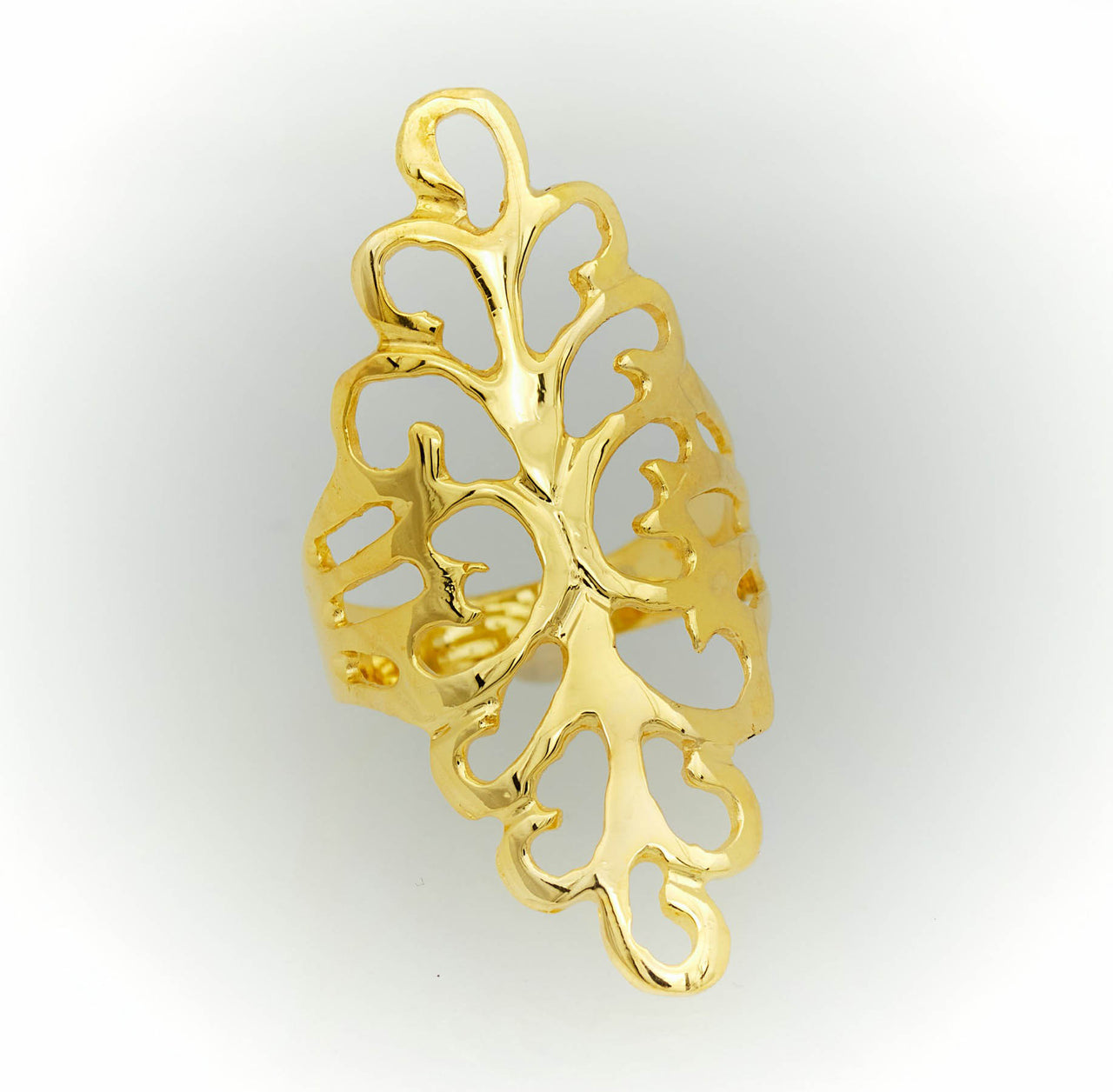 big-gold-ring-fr-women